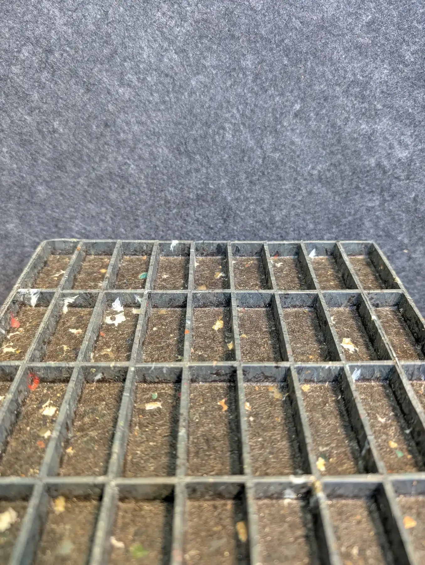 Rib and cell geometry visible on a physical development structure